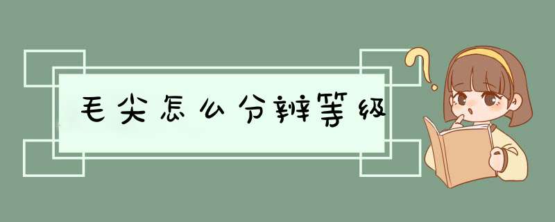 毛尖怎么分辨等级,第1张