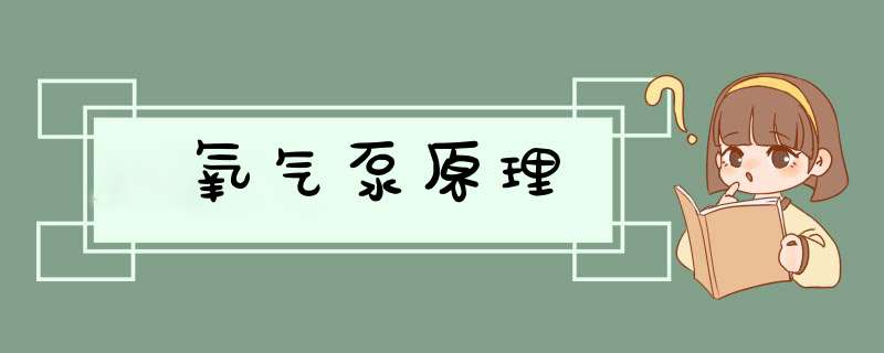 氧气泵原理,第1张