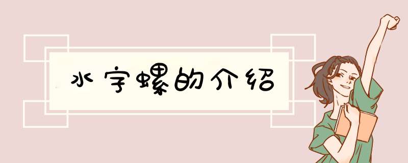 水字螺的介绍,第1张