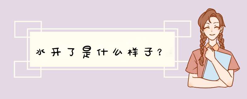 水开了是什么样子？,第1张