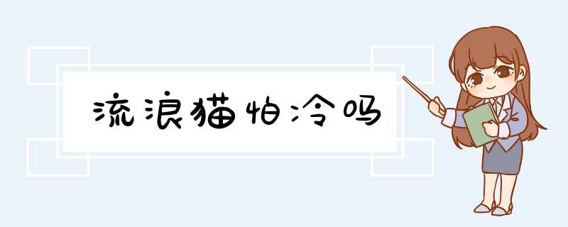 流浪猫怕冷吗,第1张