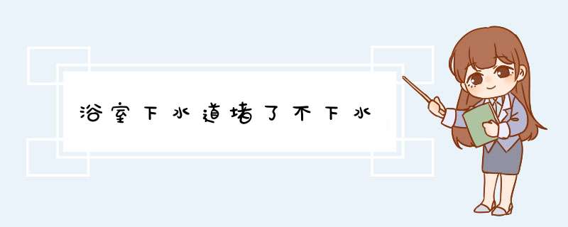 浴室下水道堵了不下水,第1张