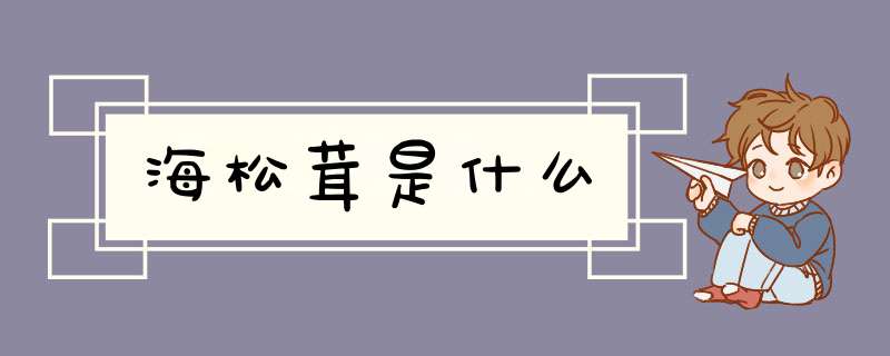 海松茸是什么,第1张