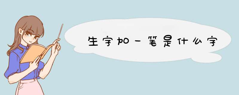 生字加一笔是什么字,第1张