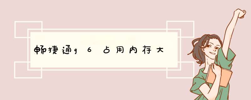 畅捷通g6占用内存大,第1张