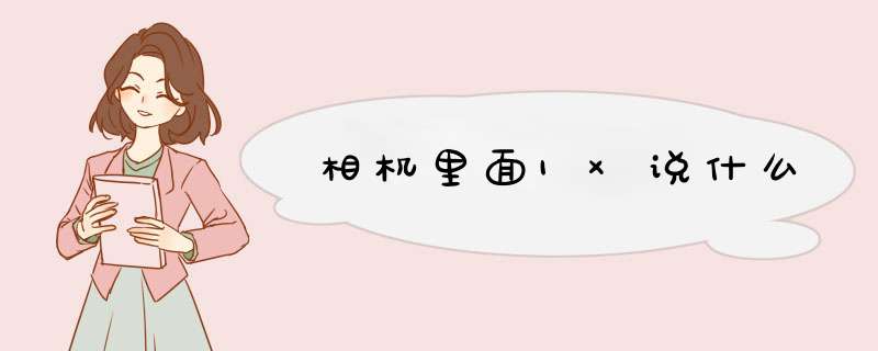 相机里面1×说什么,第1张