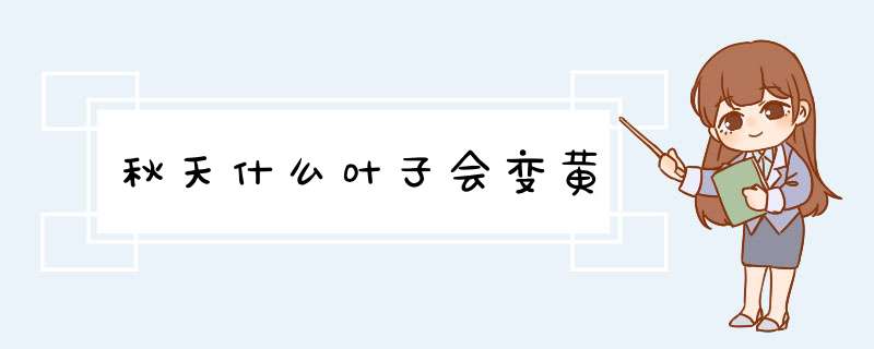 秋天什么叶子会变黄,第1张