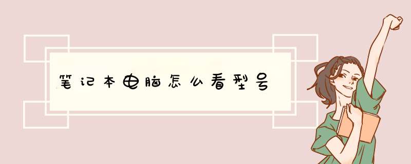 笔记本电脑怎么看型号,第1张