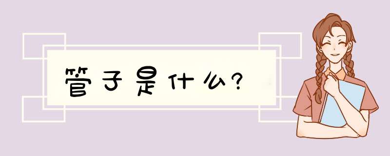 管子是什么?,第1张