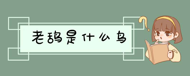 老鸹是什么鸟,第1张