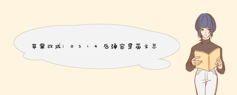 苹果改成iOS14后d窗是英文怎么回事 怎么变回中文？,第1张