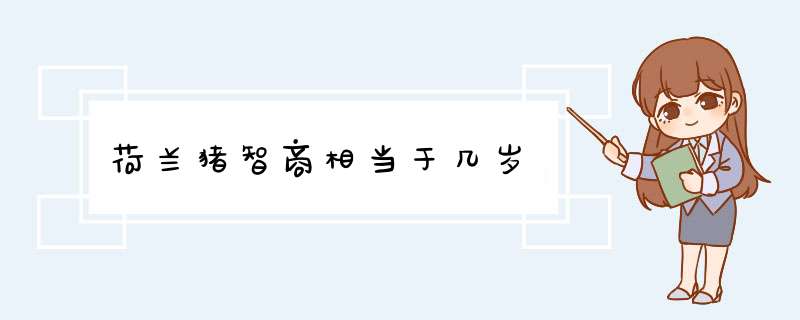 荷兰猪智商相当于几岁,第1张