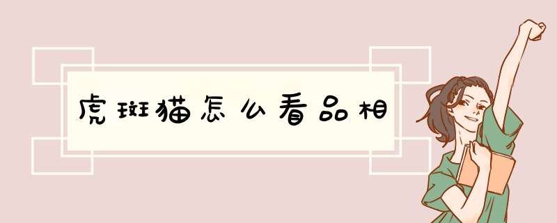 虎斑猫怎么看品相,第1张