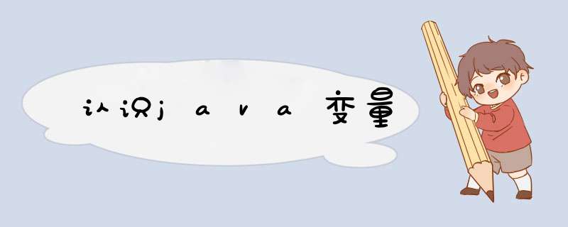 认识java变量,第1张