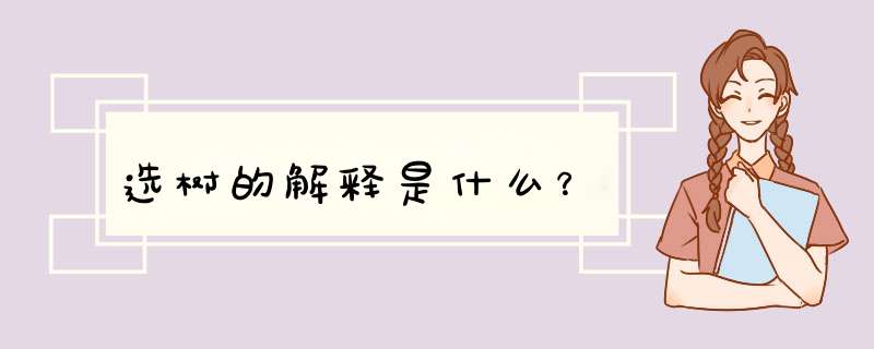 选树的解释是什么？,第1张