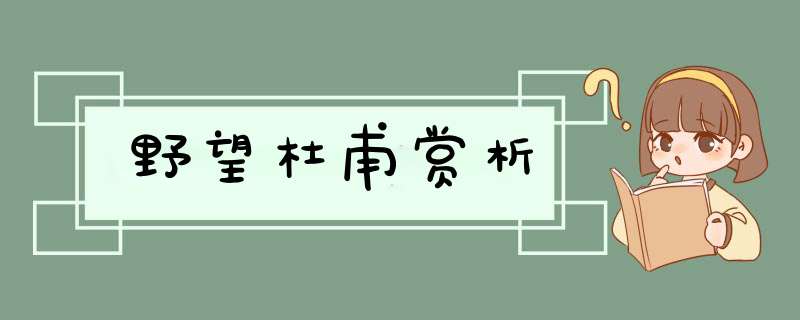 野望杜甫赏析,第1张