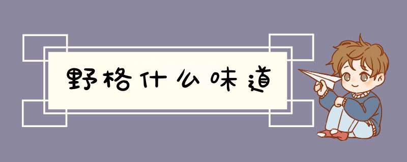 野格什么味道,第1张