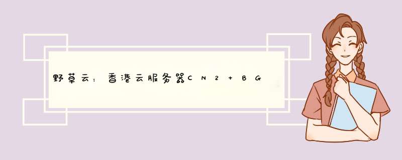 野草云：香港云服务器CN2+BGP宽带;1核1GB内存3M带宽,19元月,第1张