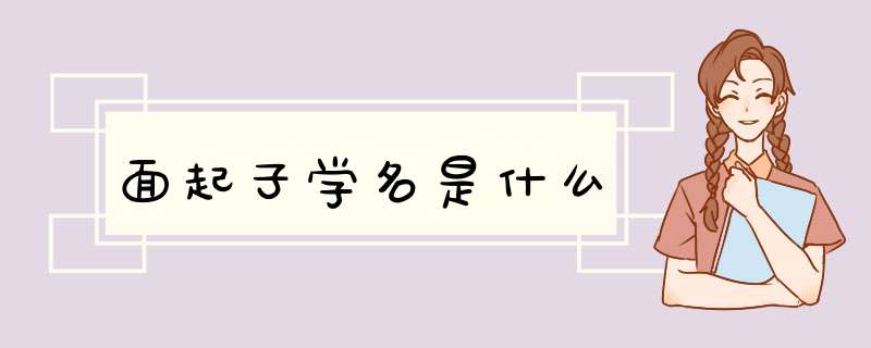 面起子学名是什么,第1张