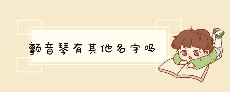 颤音琴有其他名字吗,第1张