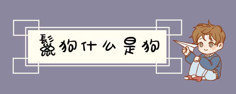 鬣狗什么是狗,第1张