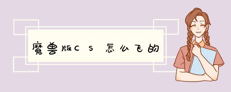 魔兽版CS怎么飞的,第1张