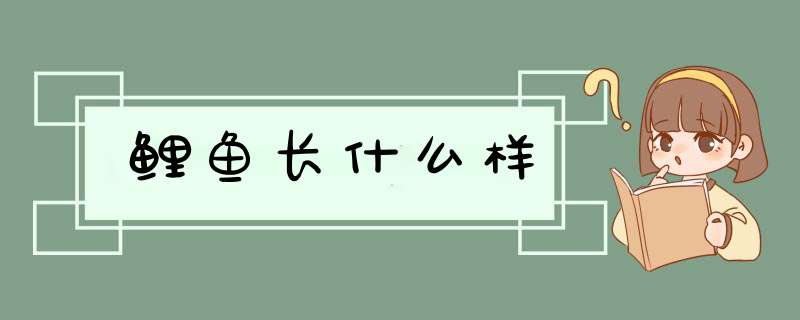 鲤鱼长什么样,第1张