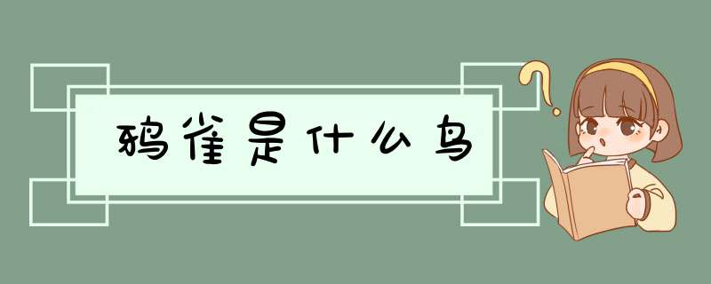 鸦雀是什么鸟,第1张