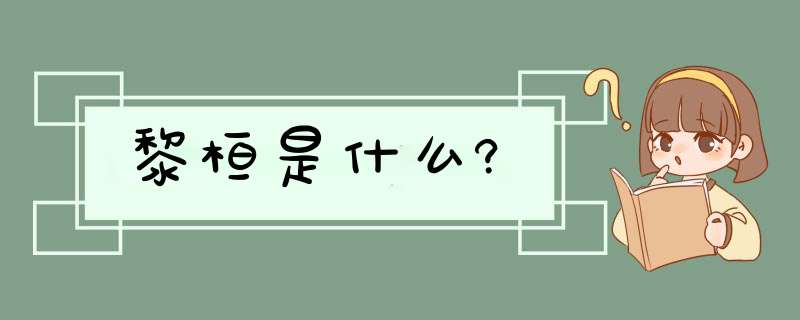 黎桓是什么?,第1张