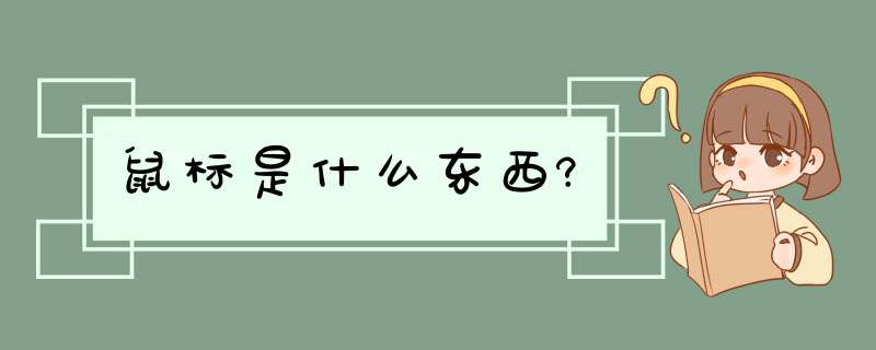 鼠标是什么东西?,第1张