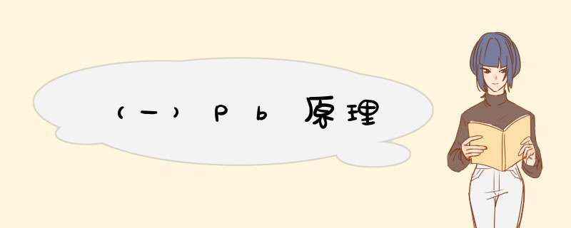 （一）Pb原理,第1张