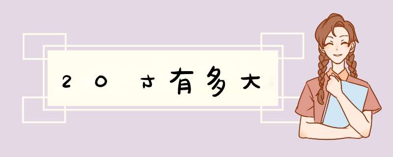 20寸有多大,第1张