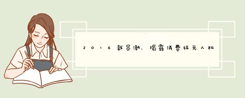 2016裁员潮：揭露消费级无人机市场现状,第1张