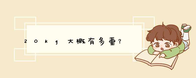 20kg大概有多重？,第1张