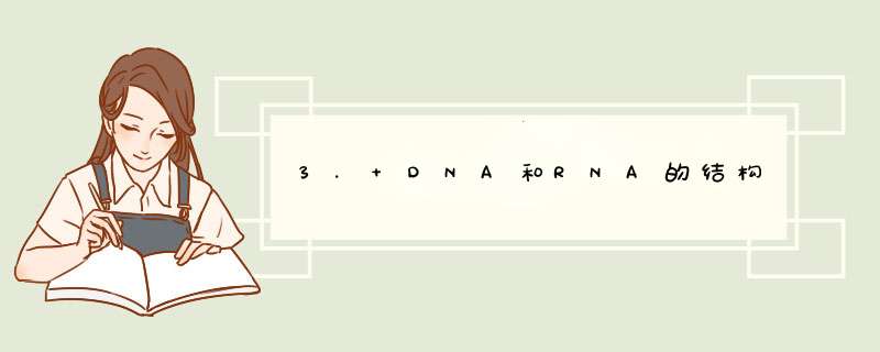 3. DNA和RNA的结构,第1张