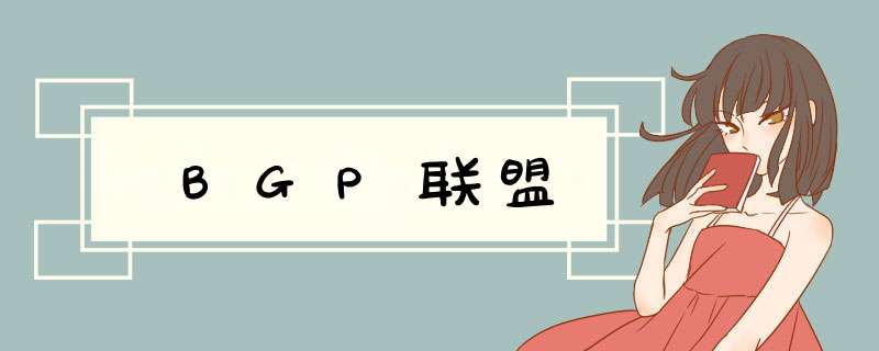 BGP联盟,第1张