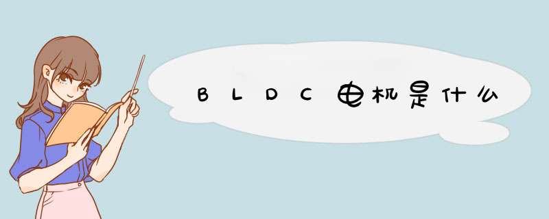 BLDC电机是什么,第1张