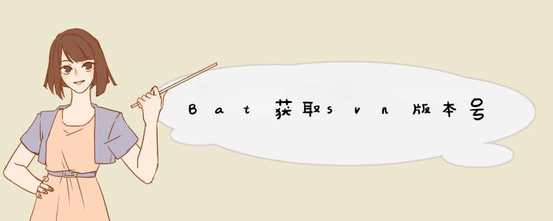 Bat获取svn版本号,第1张