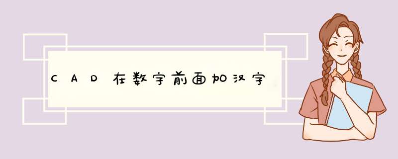 CAD在数字前面加汉字,第1张