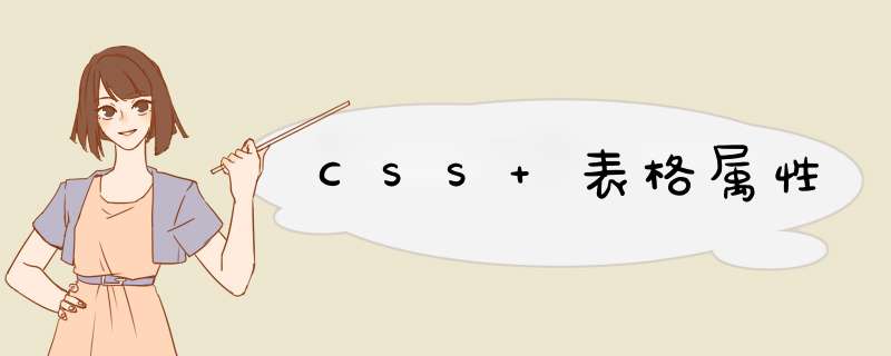 CSS 表格属性,第1张