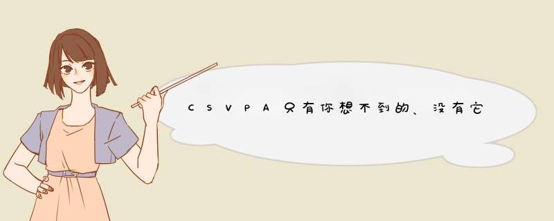CSVPA只有你想不到的、没有它做不到的！,第1张