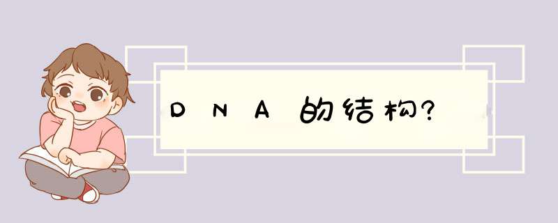 DNA的结构?,第1张