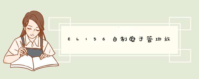 EL156自制电子管功放,第1张