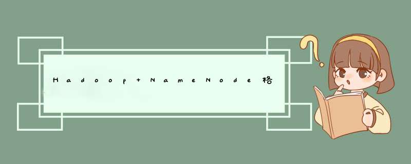 Hadoop NameNode格式化,第1张