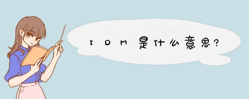 IDM是什么意思?,第1张