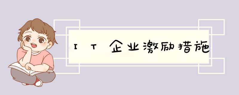 IT企业激励措施,第1张