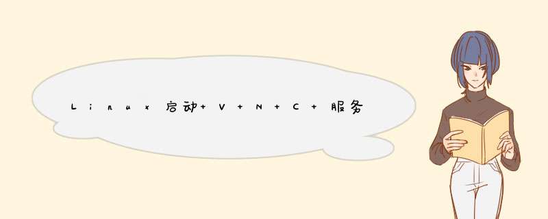 Linux启动 V N C 服务是遇到错误,第1张