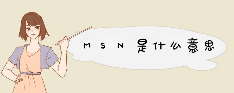 MSN是什么意思,第1张