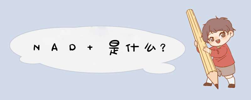 NAD+是什么？,第1张