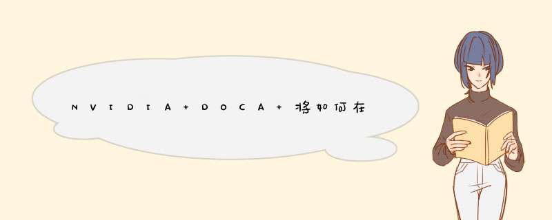NVIDIA DOCA 将如何在中国绘制技术发展全景图,第1张